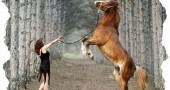 Русская женщина «Коня на скаку остановит...».